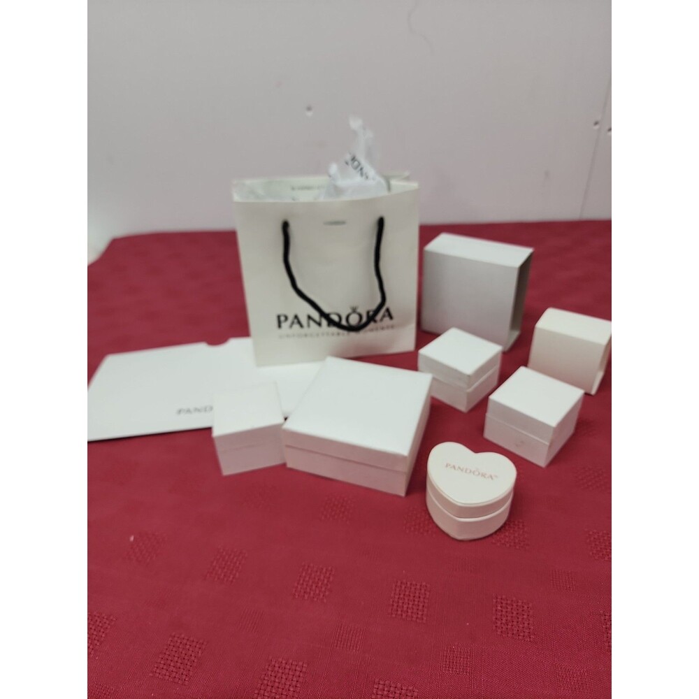 Pandora Boxes 1 Bracelet~3 Regular Charm~1 Heart Charm~1 Bag~2 Sleeves~1 Folder